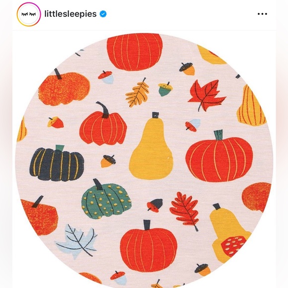 Little Sleepies Autumn harvest 6-12 month onesie - Picture 6 of 7